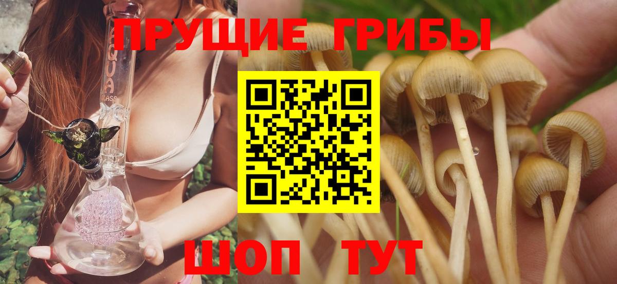 Галлюциногенные грибы GOLDEN TEACHER Гусев