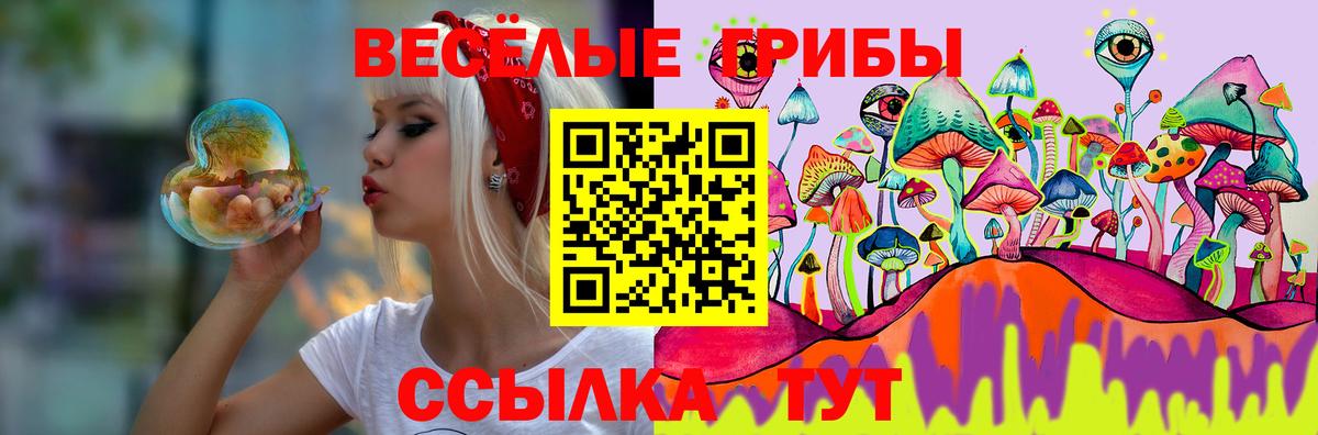 Галлюциногенные грибы ЛСД  Галлюциногенные грибы GOLDEN TEACHER  Гусев  Вход с VPN 