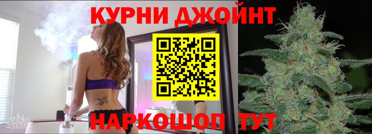 Бошки Шишки планчик Гусев